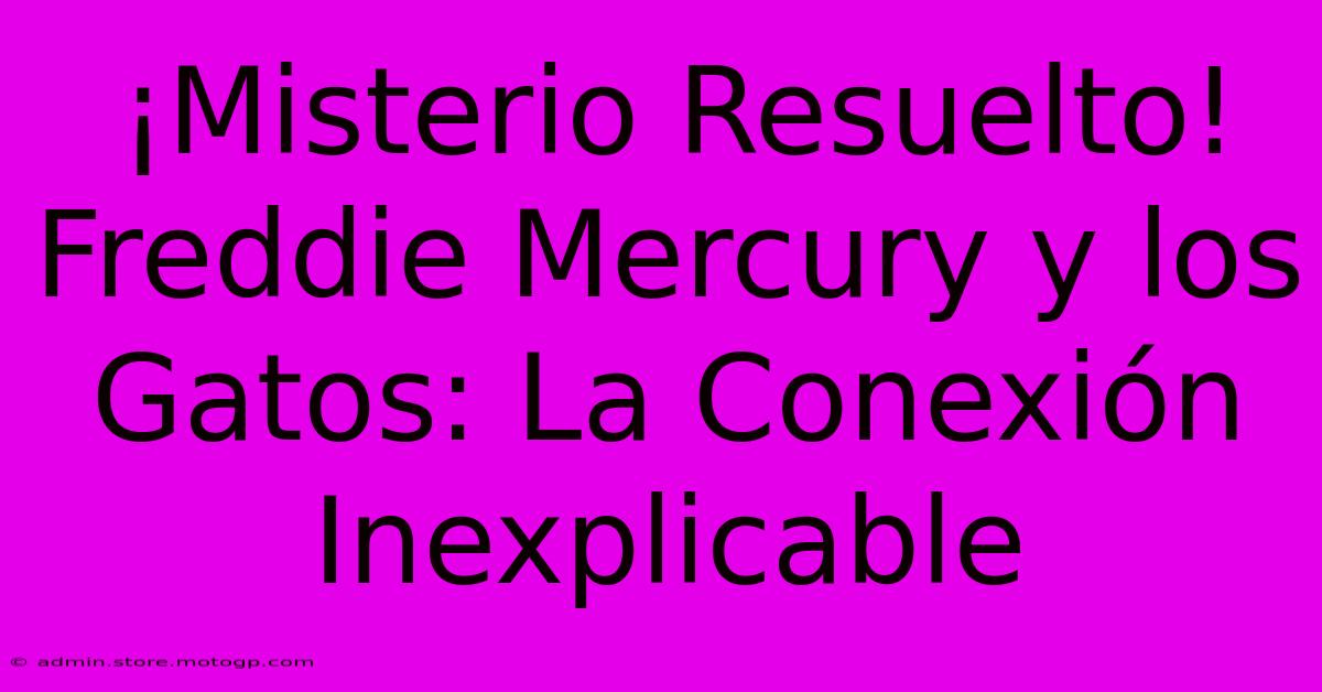 ¡Misterio Resuelto! Freddie Mercury Y Los Gatos: La Conexión Inexplicable