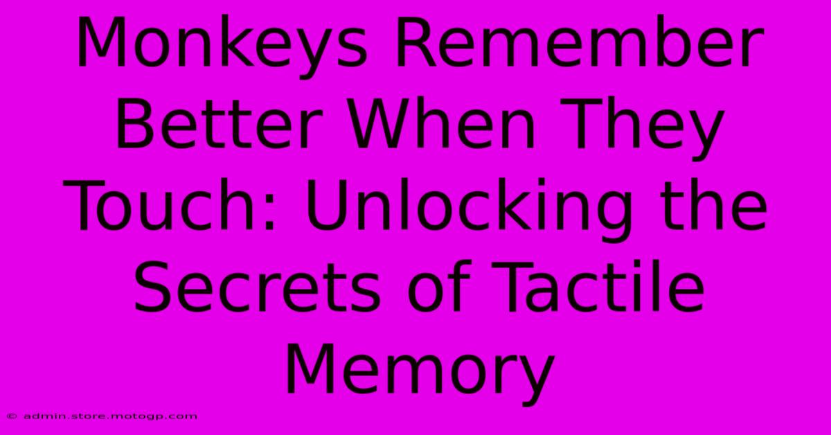 Monkeys Remember Better When They Touch: Unlocking The Secrets Of Tactile Memory