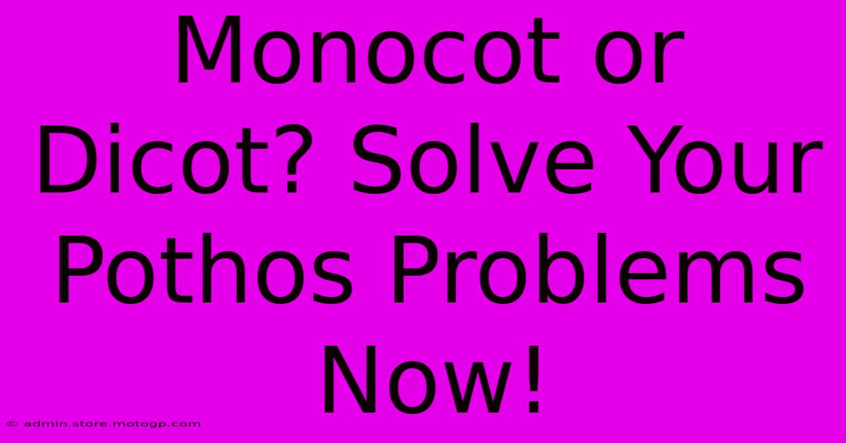 Monocot Or Dicot? Solve Your Pothos Problems Now!