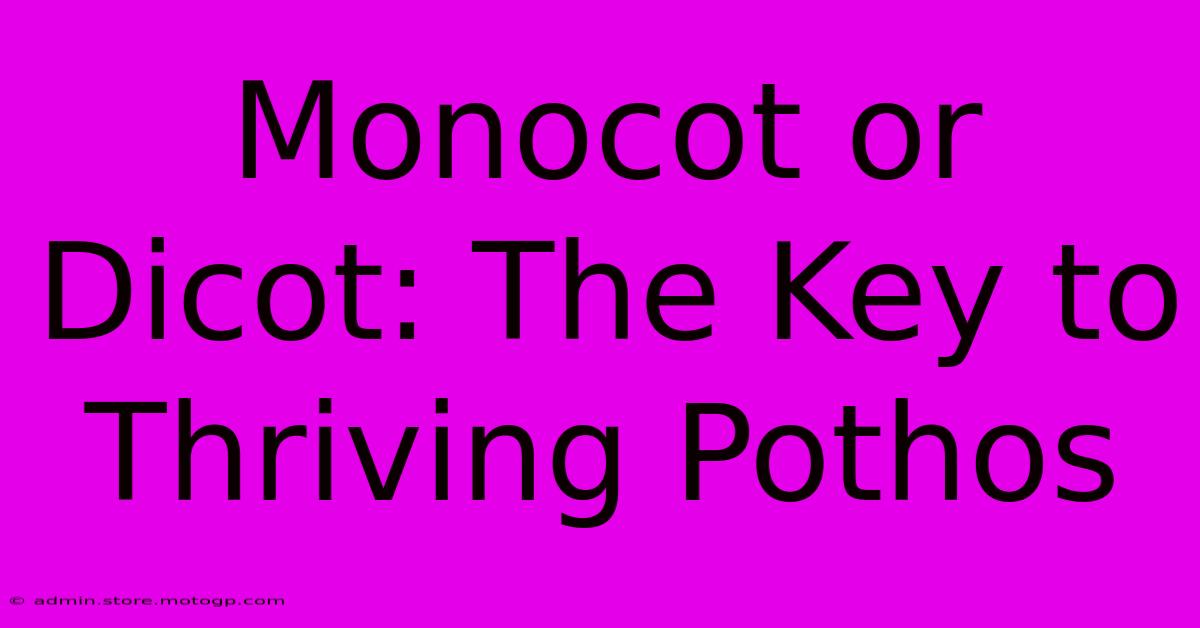 Monocot Or Dicot: The Key To Thriving Pothos