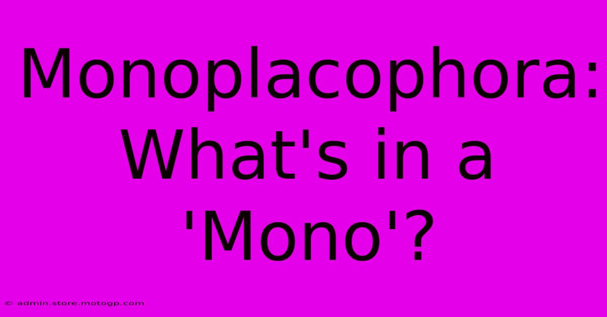 Monoplacophora: What's In A 'Mono'?