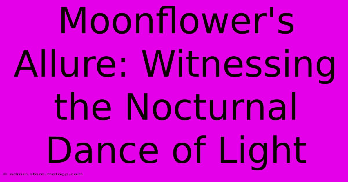 Moonflower's Allure: Witnessing The Nocturnal Dance Of Light