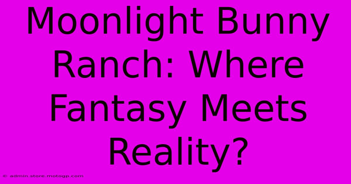 Moonlight Bunny Ranch: Where Fantasy Meets Reality?