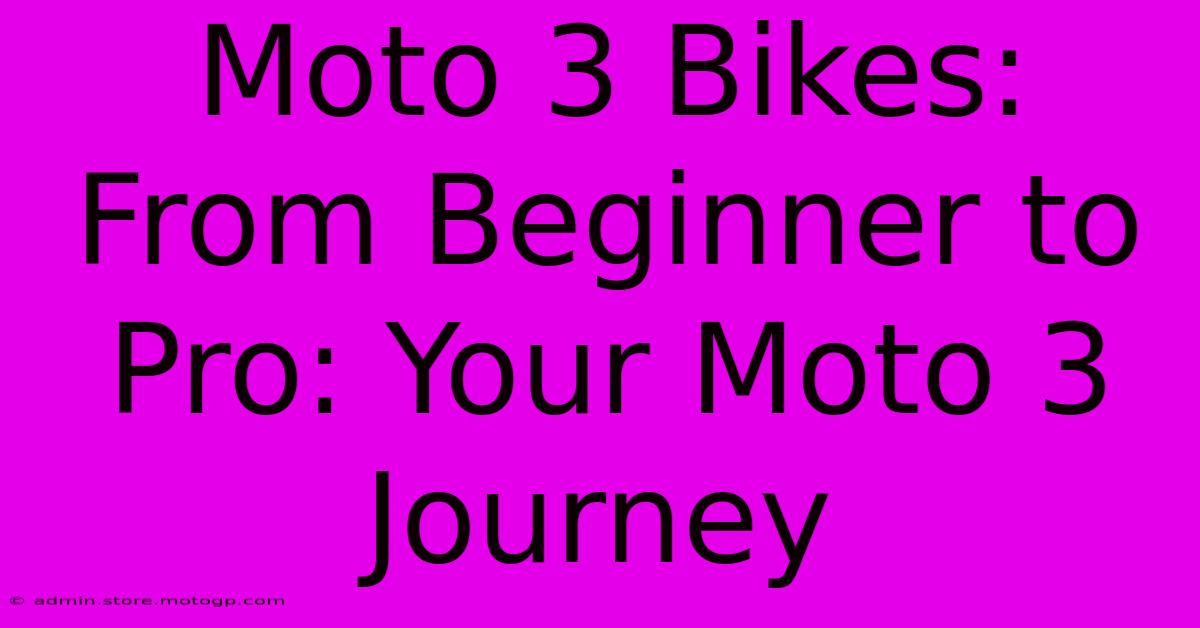 Moto 3 Bikes:  From Beginner To Pro: Your Moto 3 Journey