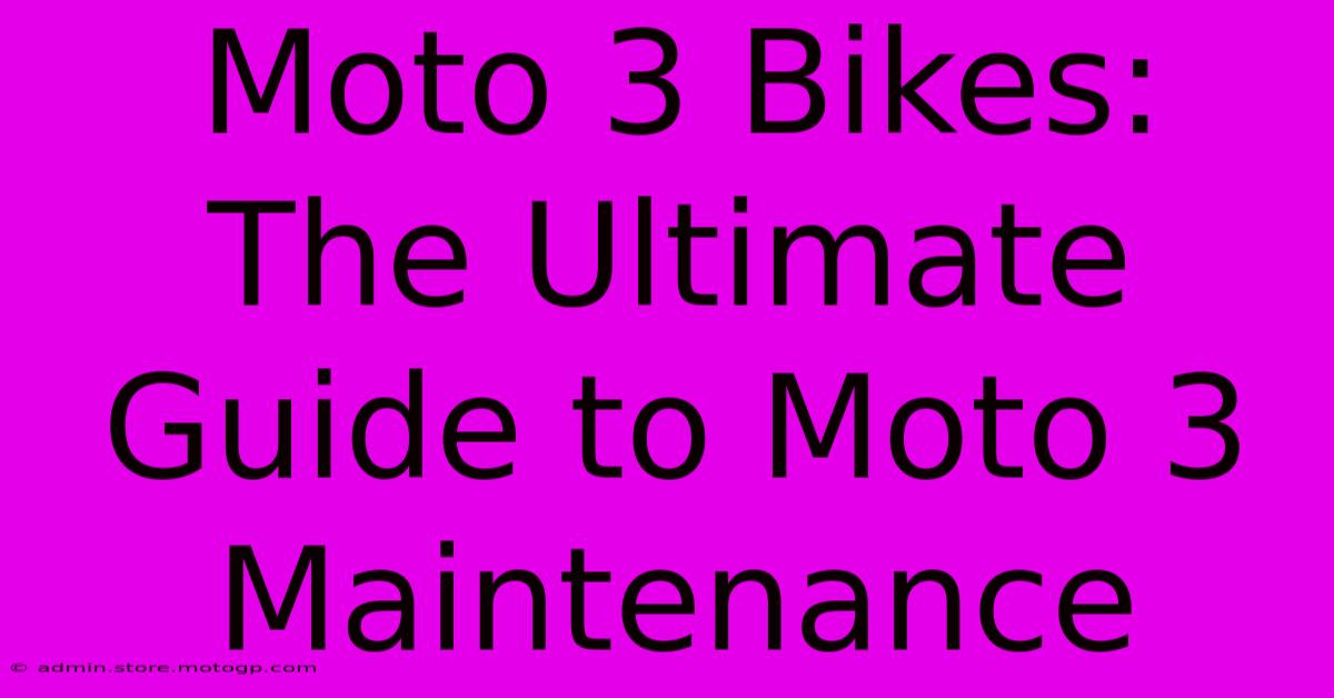 Moto 3 Bikes:  The Ultimate Guide To Moto 3 Maintenance