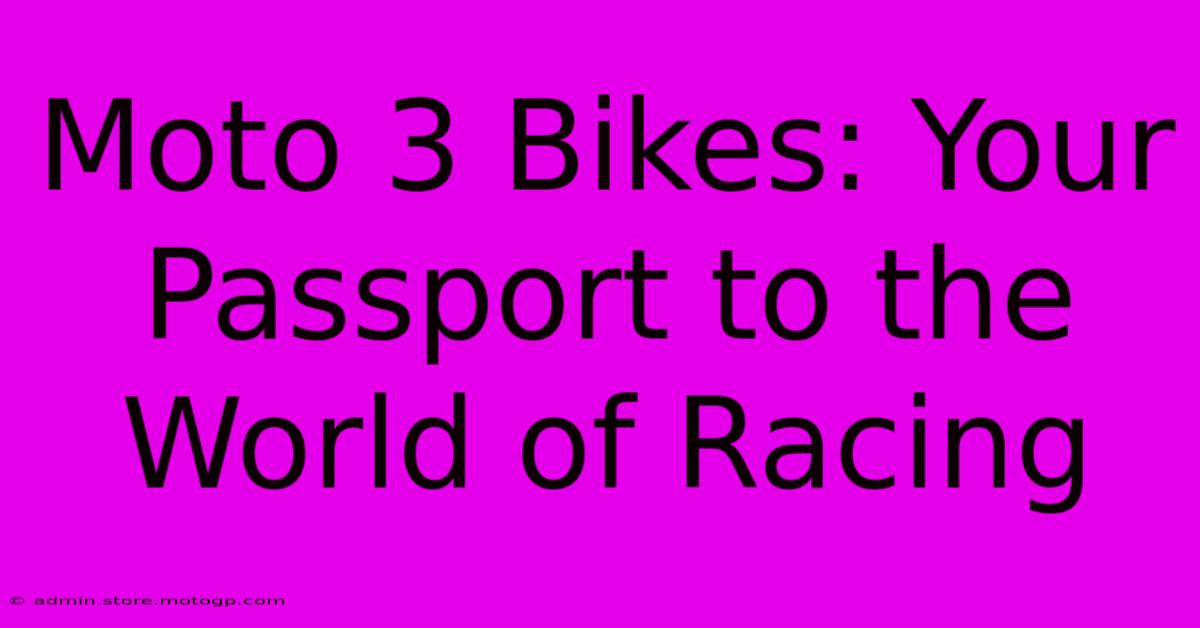 Moto 3 Bikes: Your Passport To The World Of Racing