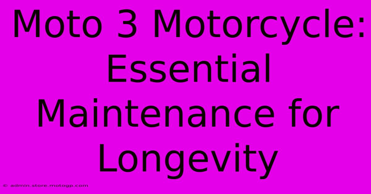 Moto 3 Motorcycle:  Essential Maintenance For Longevity