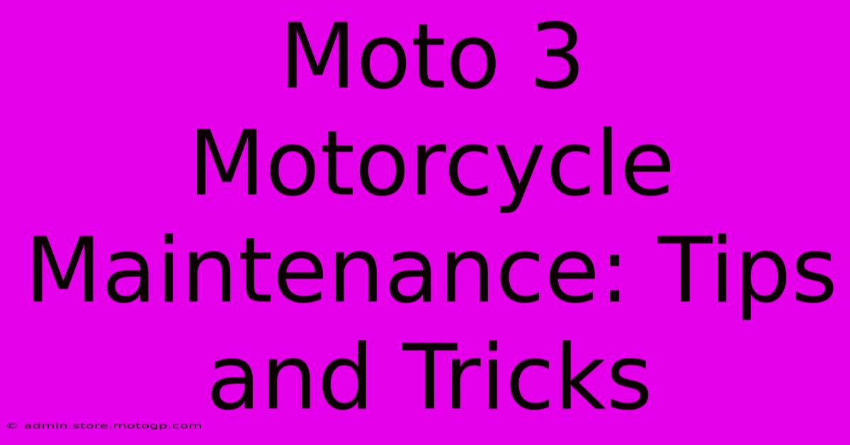 Moto 3 Motorcycle Maintenance: Tips And Tricks