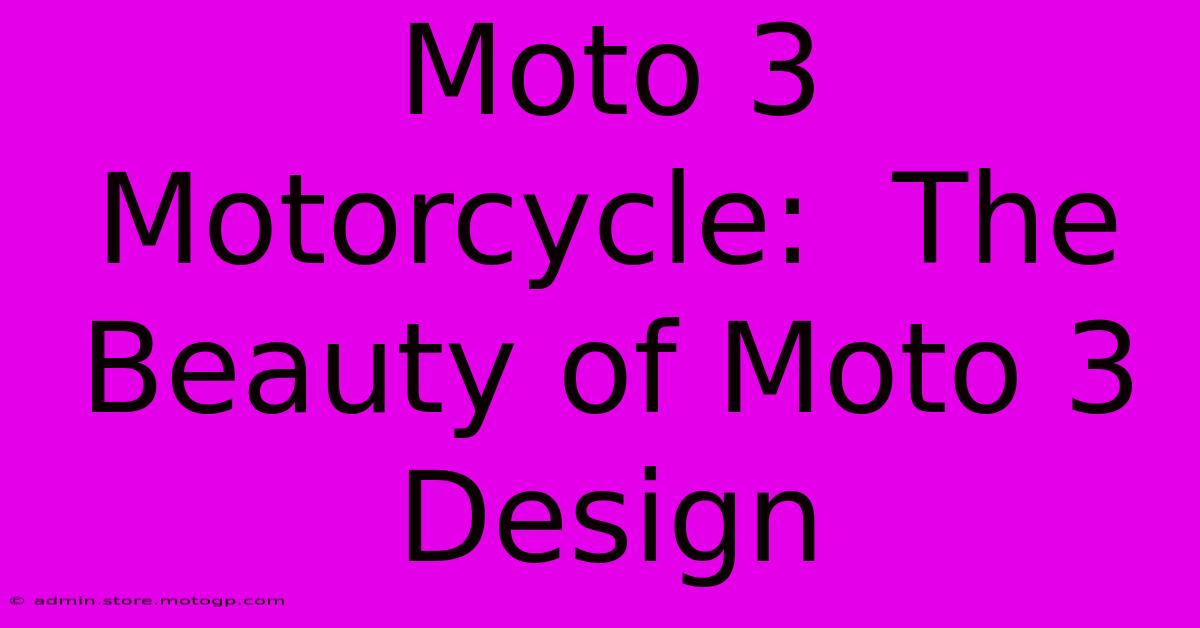 Moto 3 Motorcycle:  The Beauty Of Moto 3 Design