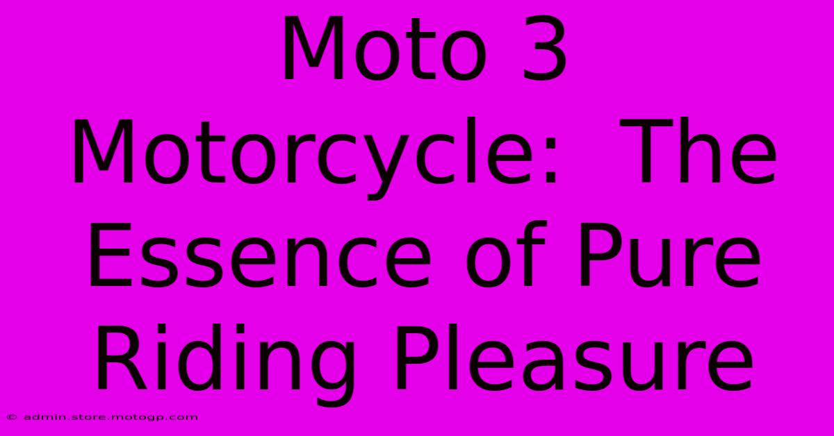 Moto 3 Motorcycle:  The Essence Of Pure Riding Pleasure