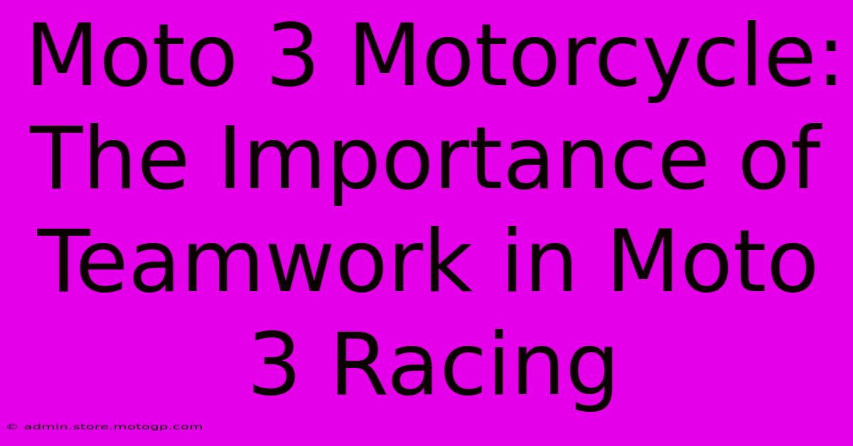 Moto 3 Motorcycle:  The Importance Of Teamwork In Moto 3 Racing