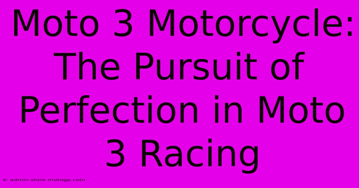 Moto 3 Motorcycle:  The Pursuit Of Perfection In Moto 3 Racing