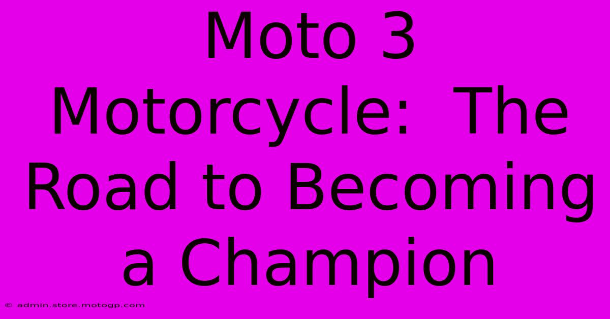 Moto 3 Motorcycle:  The Road To Becoming A Champion