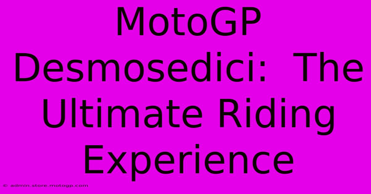 MotoGP Desmosedici:  The Ultimate Riding Experience