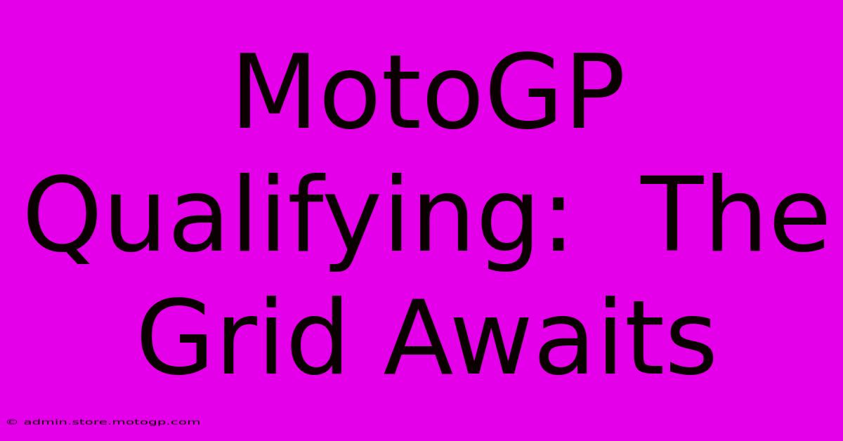 MotoGP Qualifying:  The Grid Awaits