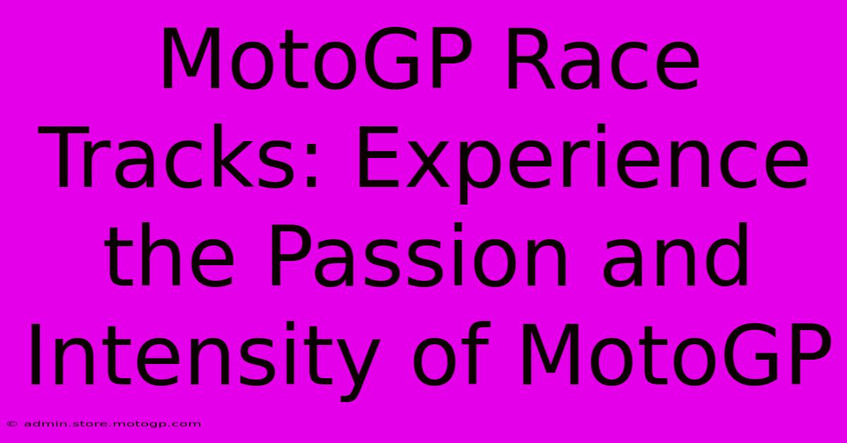 MotoGP Race Tracks: Experience The Passion And Intensity Of MotoGP