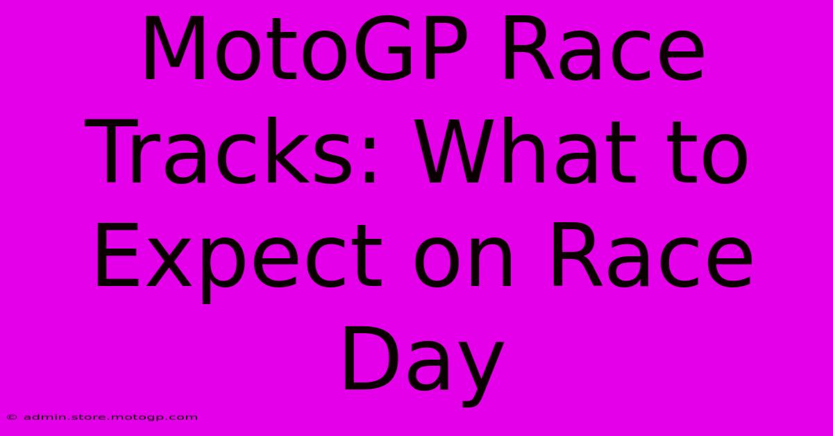 MotoGP Race Tracks: What To Expect On Race Day