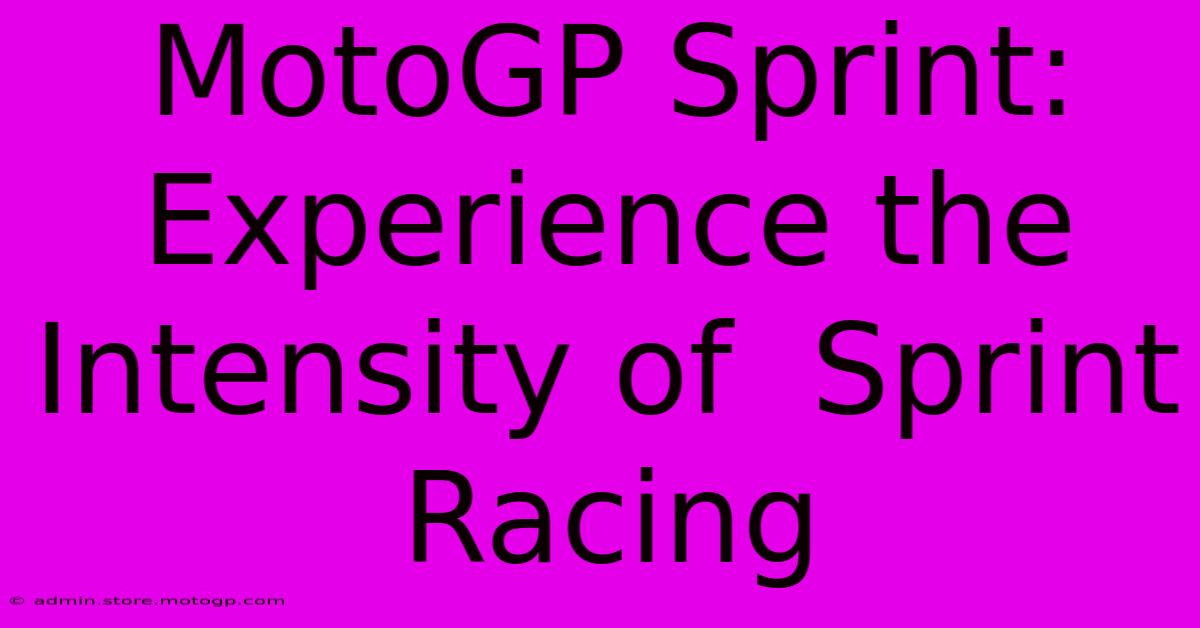 MotoGP Sprint: Experience The Intensity Of  Sprint Racing