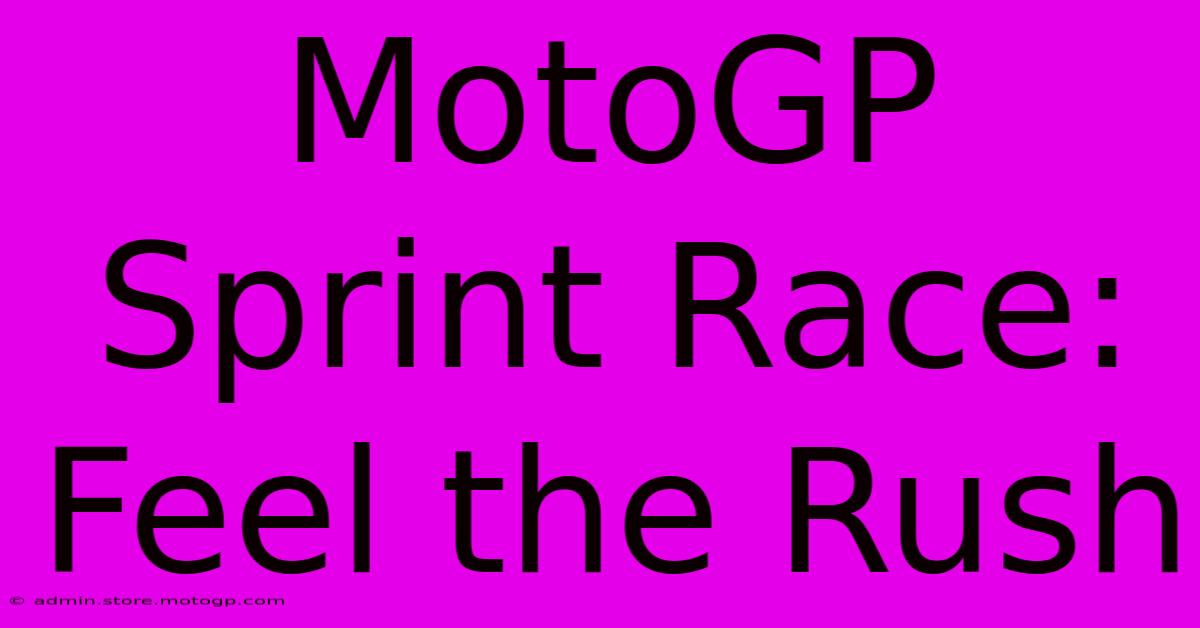 MotoGP Sprint Race: Feel The Rush