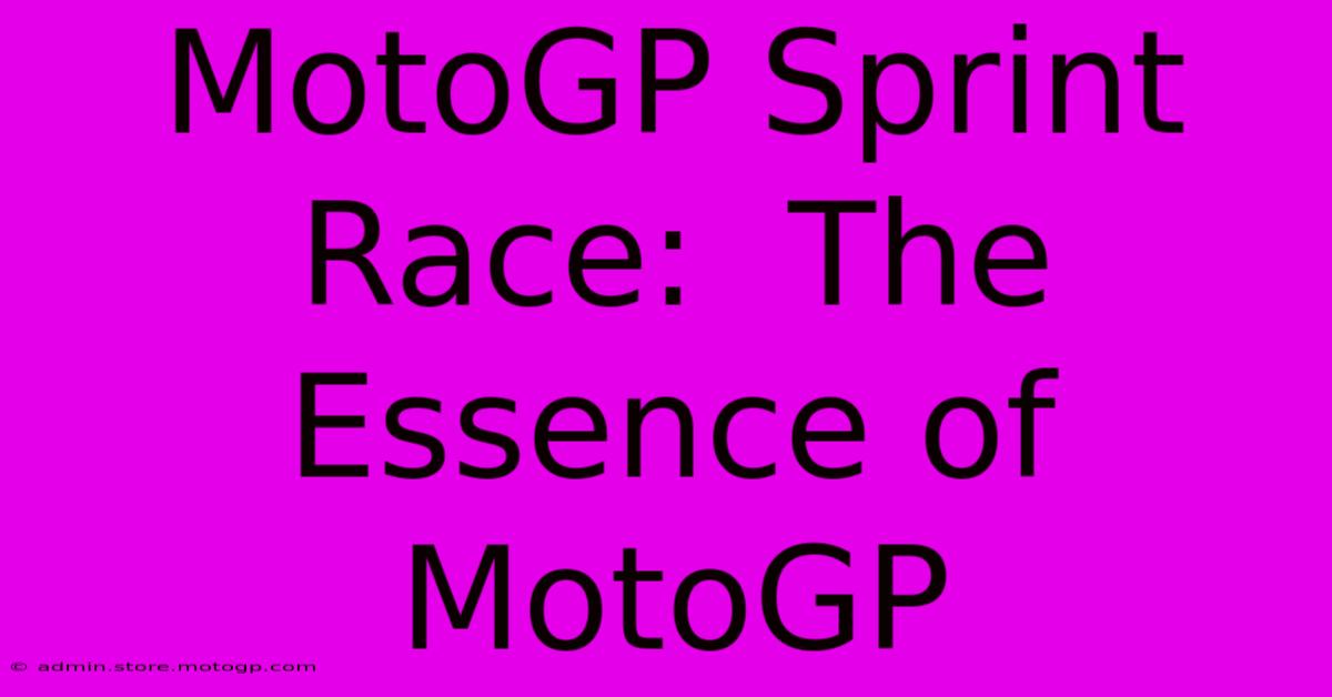 MotoGP Sprint Race:  The Essence Of MotoGP