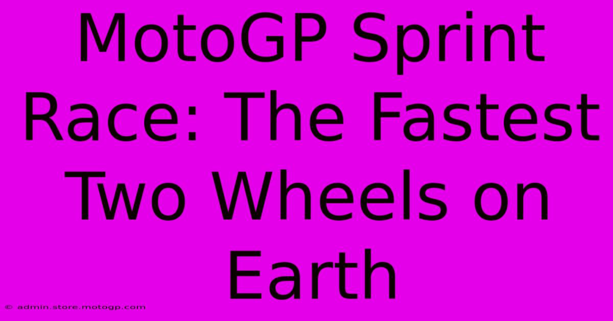 MotoGP Sprint Race: The Fastest Two Wheels On Earth