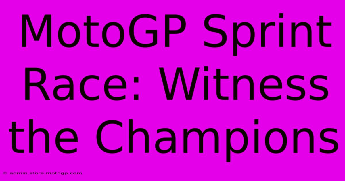 MotoGP Sprint Race: Witness The Champions