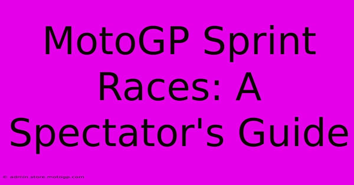 MotoGP Sprint Races: A Spectator's Guide