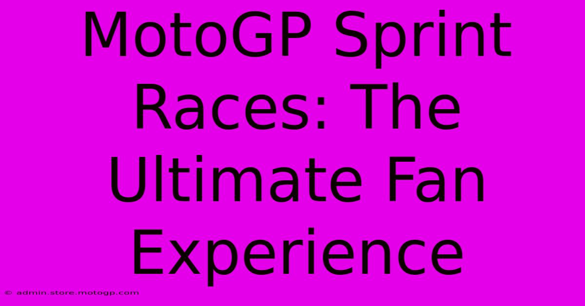 MotoGP Sprint Races: The Ultimate Fan Experience