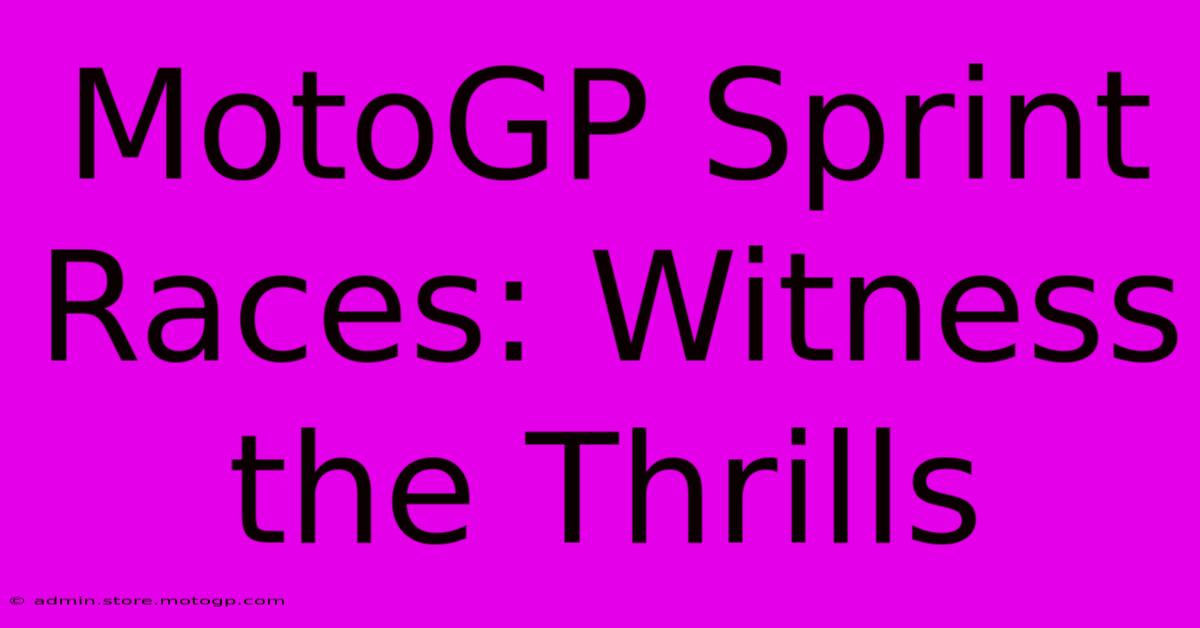 MotoGP Sprint Races: Witness The Thrills