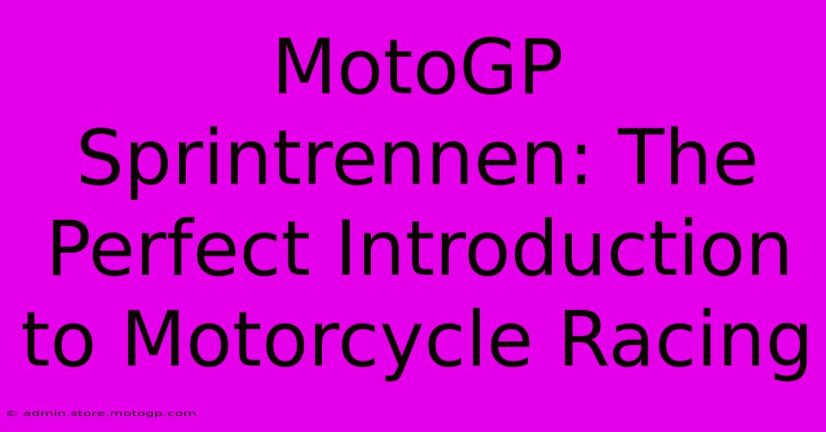 MotoGP Sprintrennen: The Perfect Introduction To Motorcycle Racing