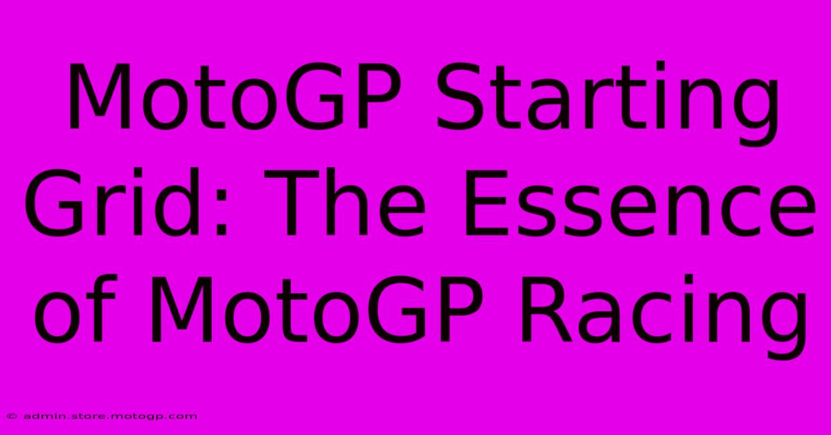 MotoGP Starting Grid: The Essence Of MotoGP Racing