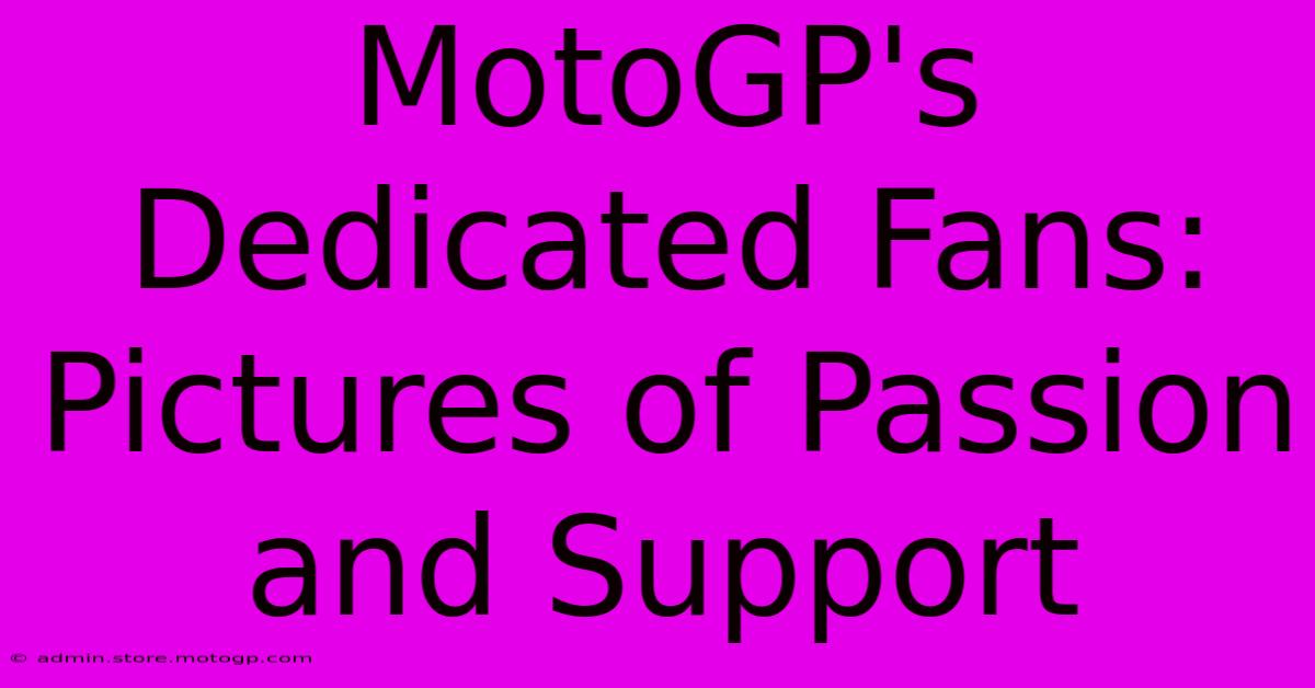 MotoGP's Dedicated Fans: Pictures Of Passion And Support