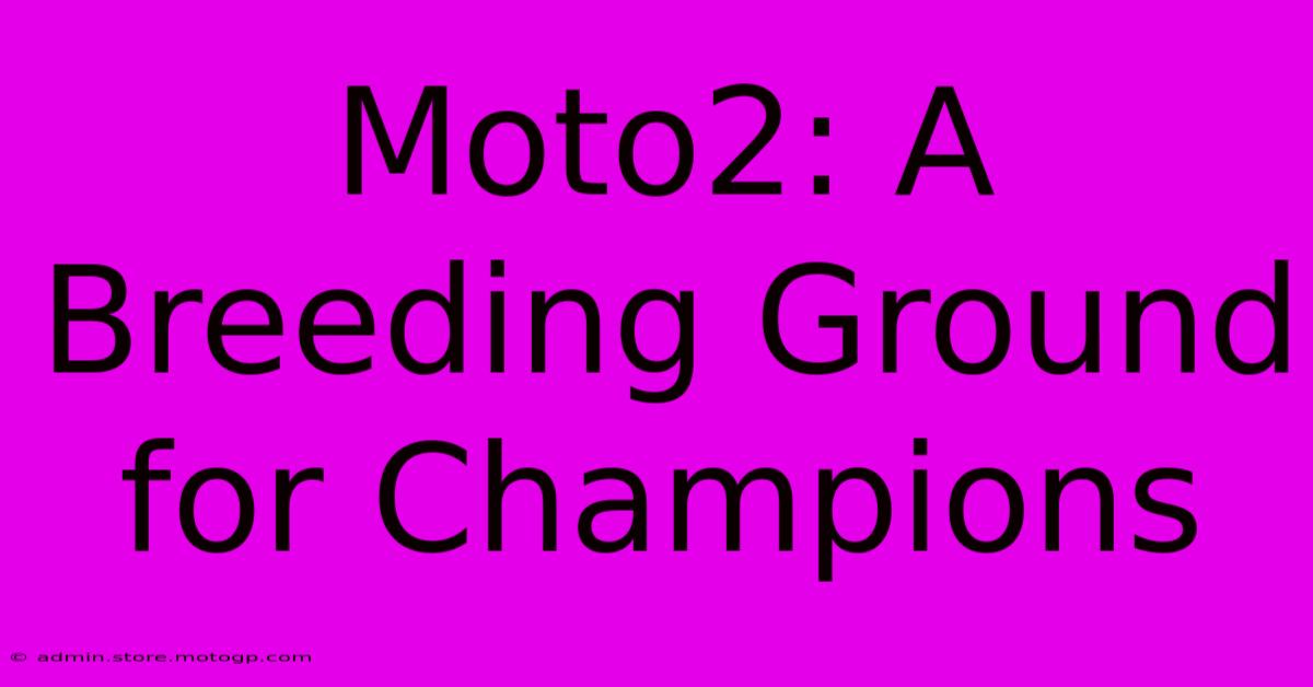 Moto2: A Breeding Ground For Champions