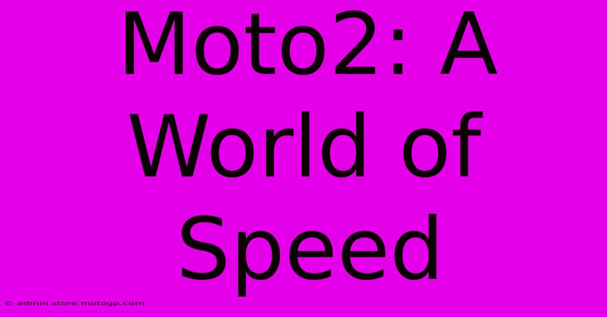 Moto2: A World Of Speed