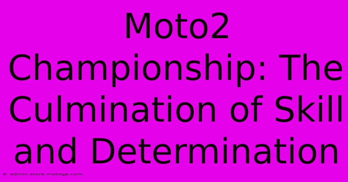 Moto2 Championship: The Culmination Of Skill And Determination