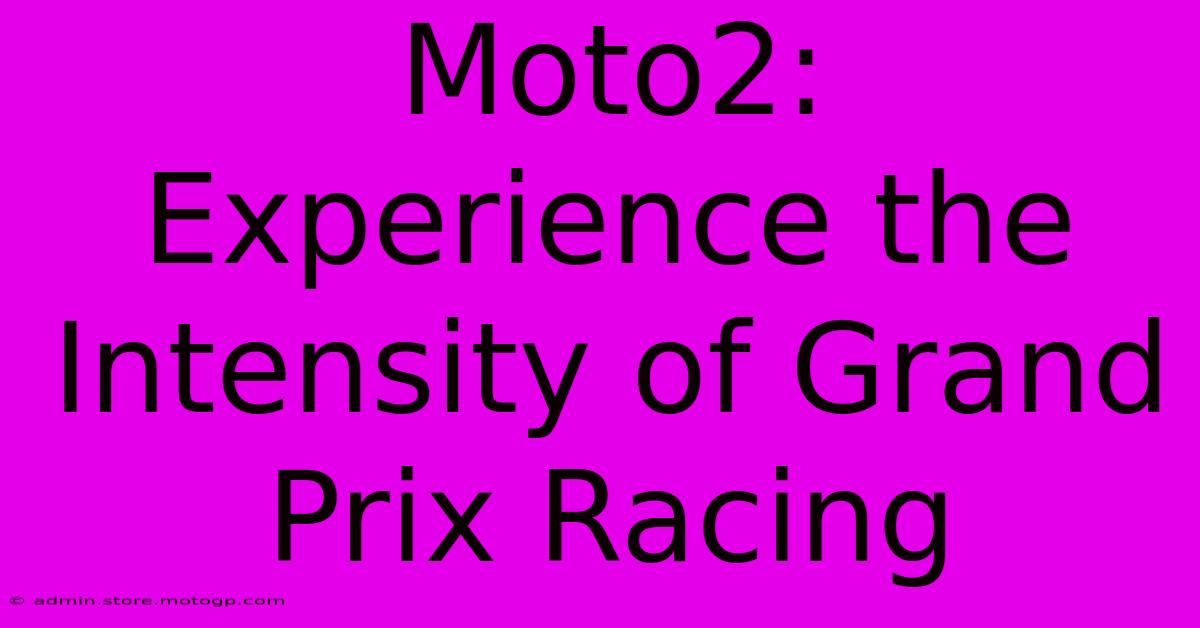 Moto2: Experience The Intensity Of Grand Prix Racing