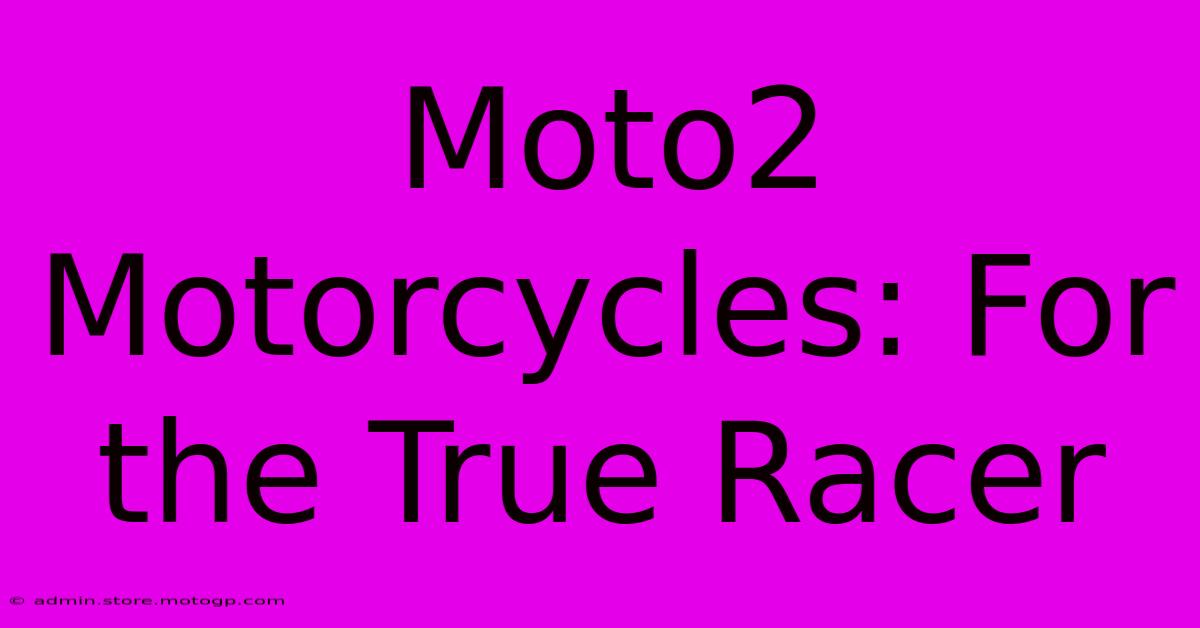 Moto2 Motorcycles: For The True Racer