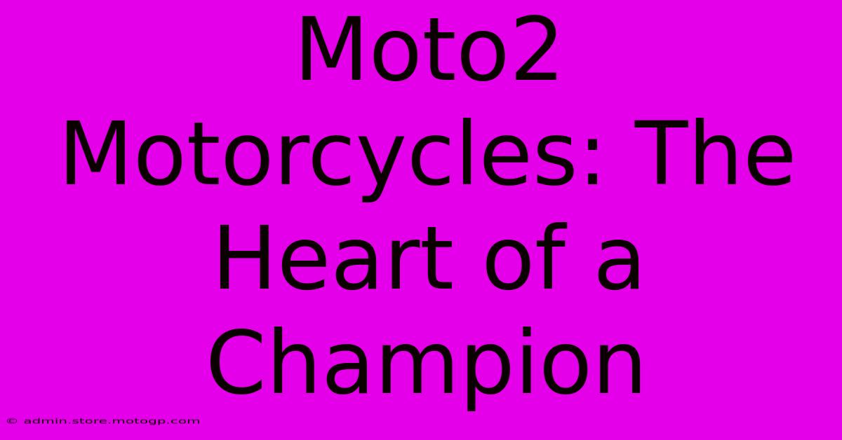 Moto2 Motorcycles: The Heart Of A Champion