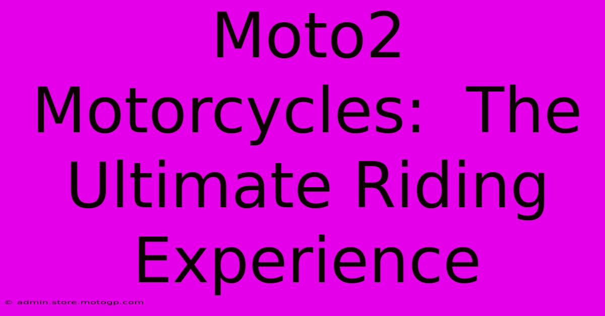 Moto2 Motorcycles:  The Ultimate Riding Experience