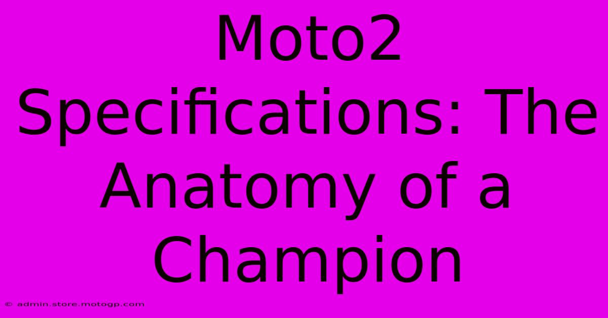 Moto2 Specifications: The Anatomy Of A Champion