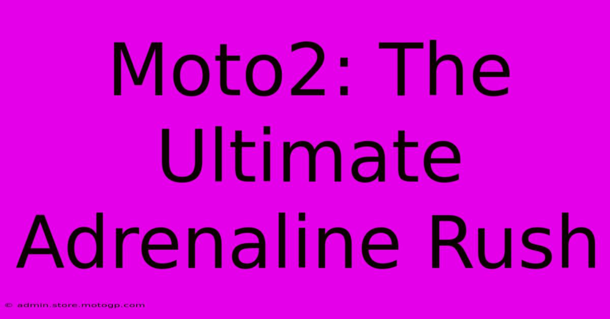 Moto2: The Ultimate Adrenaline Rush