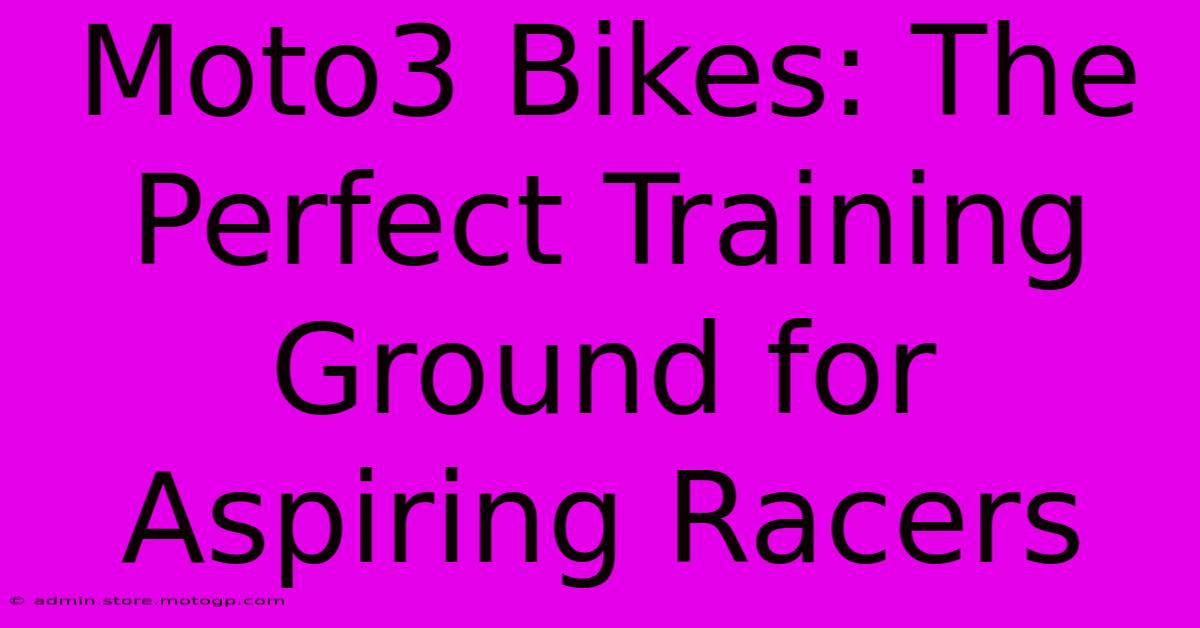 Moto3 Bikes: The Perfect Training Ground For Aspiring Racers