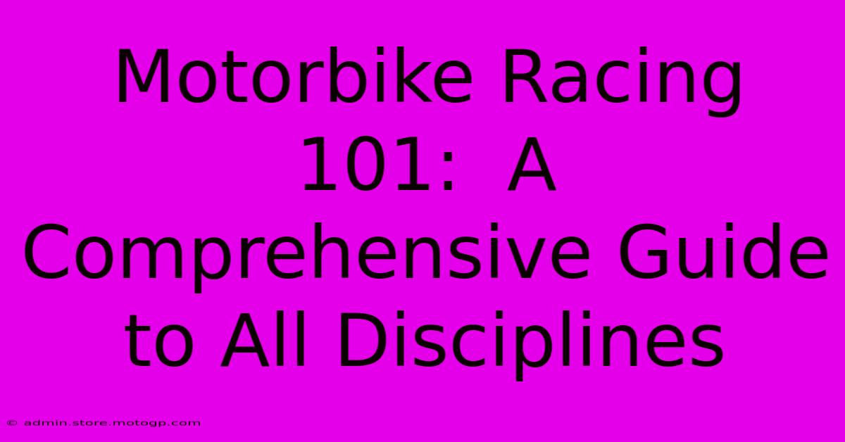 Motorbike Racing 101:  A Comprehensive Guide To All Disciplines