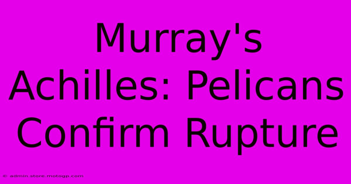 Murray's Achilles: Pelicans Confirm Rupture