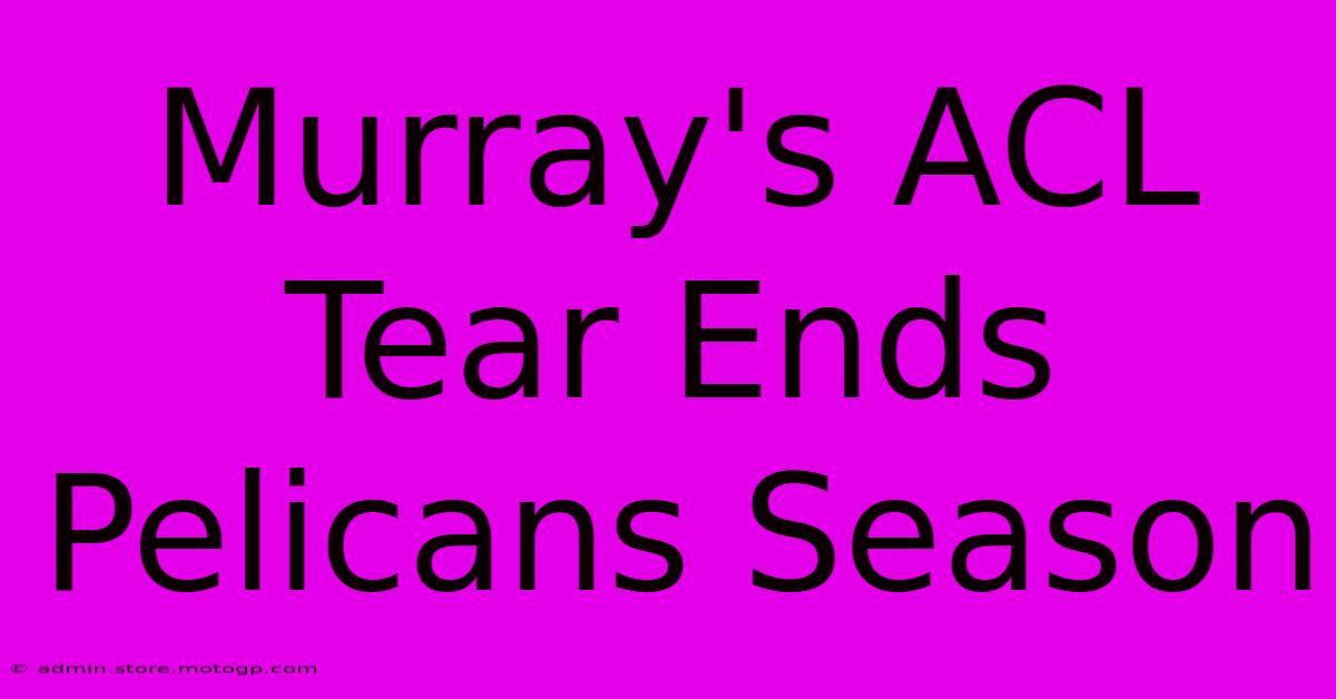 Murray's ACL Tear Ends Pelicans Season