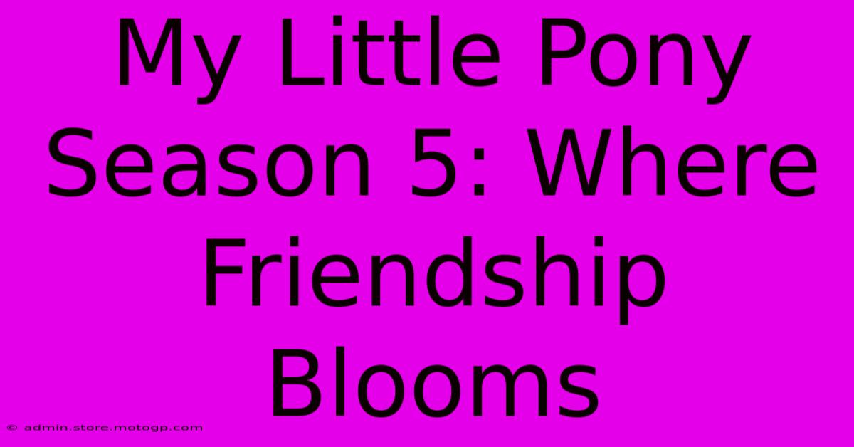 My Little Pony Season 5: Where Friendship Blooms