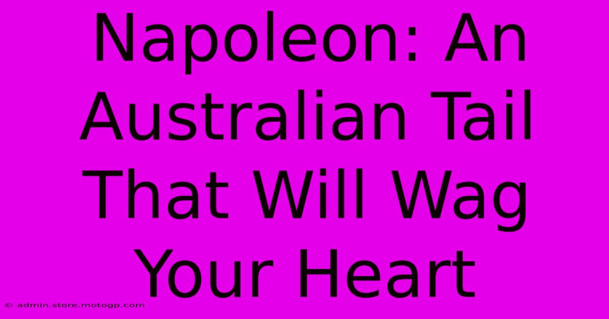 Napoleon: An Australian Tail That Will Wag Your Heart