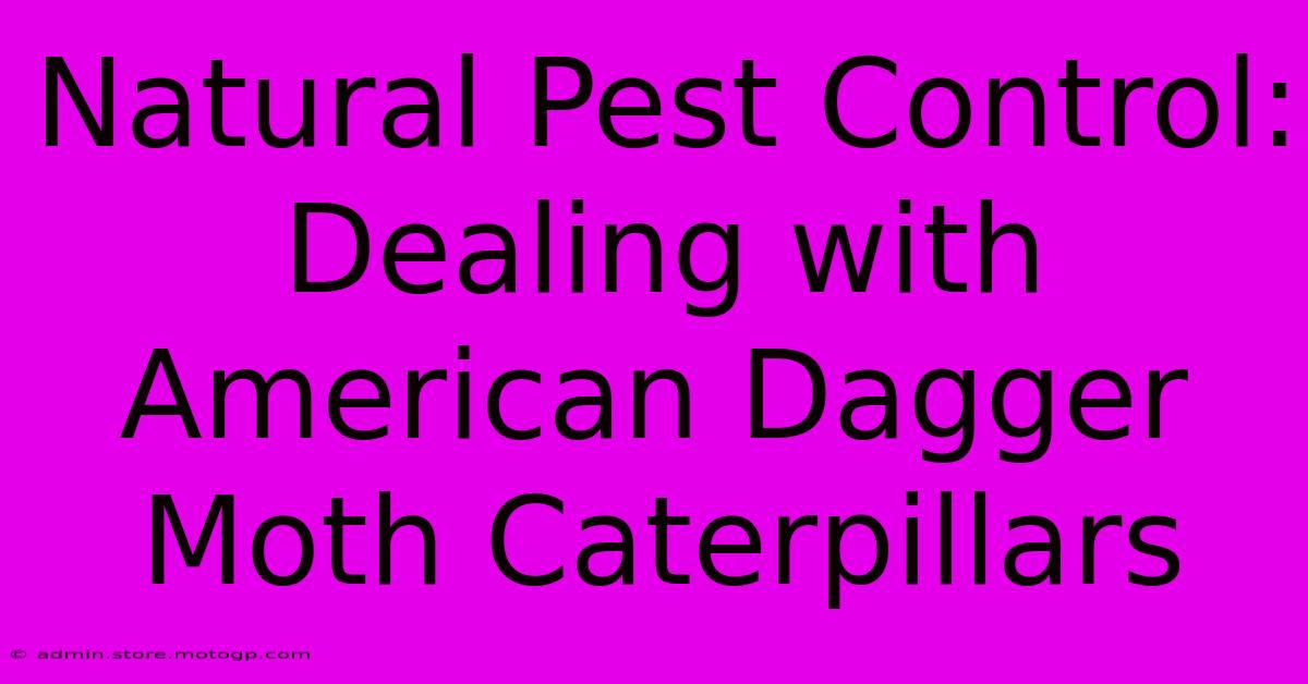 Natural Pest Control: Dealing With American Dagger Moth Caterpillars