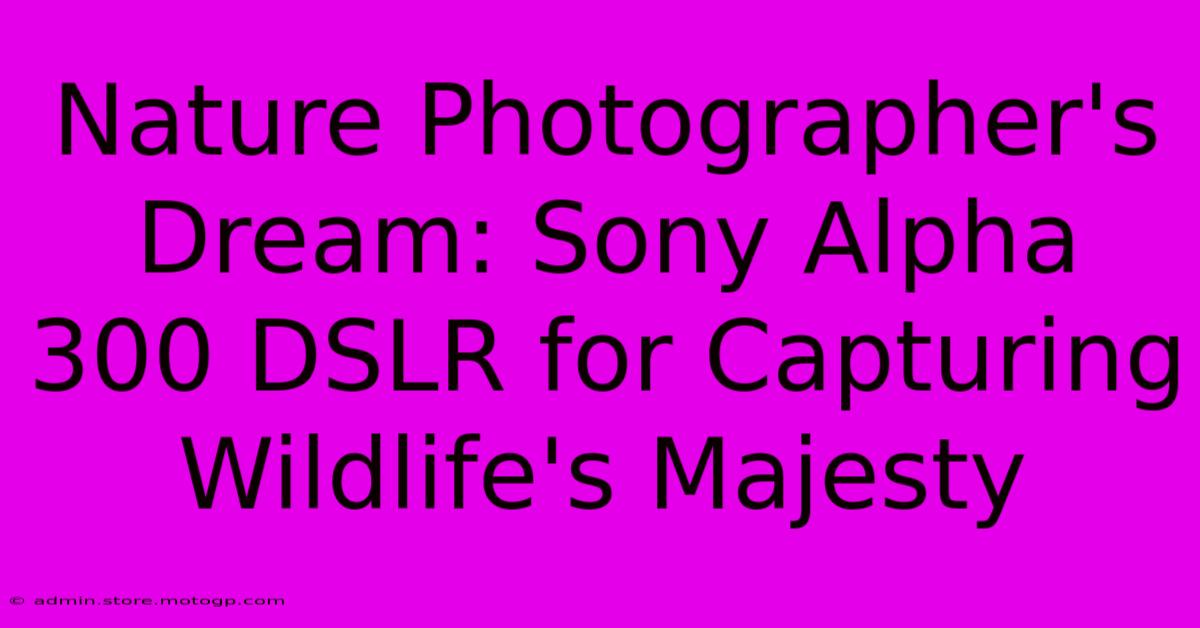 Nature Photographer's Dream: Sony Alpha 300 DSLR For Capturing Wildlife's Majesty