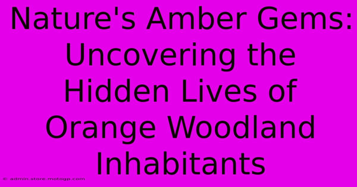 Nature's Amber Gems: Uncovering The Hidden Lives Of Orange Woodland Inhabitants